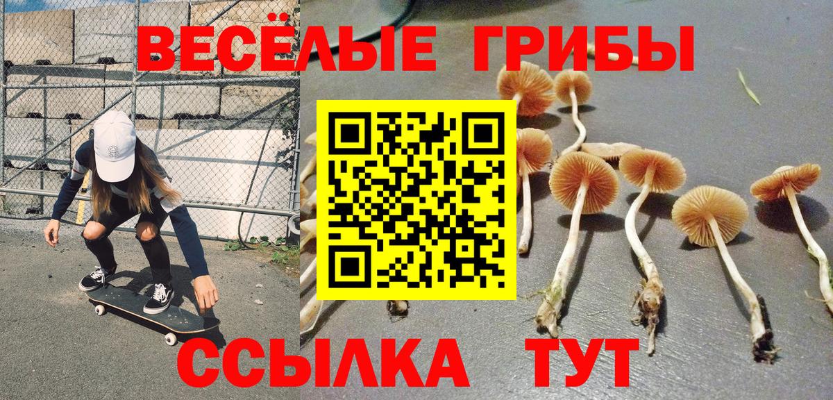 Псилоцибиновые грибы прущие грибы  Вход с VPN  Псилоцибиновые грибы ЛСД  хочу наркоту  Ногинск 