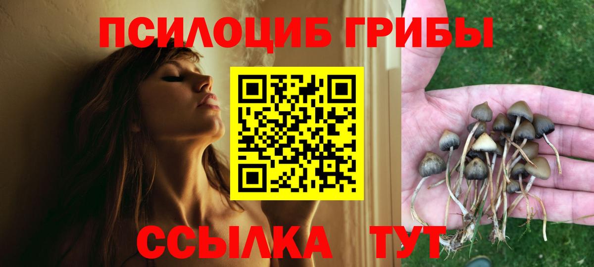 Псилоцибиновые грибы GOLDEN TEACHER Ногинск